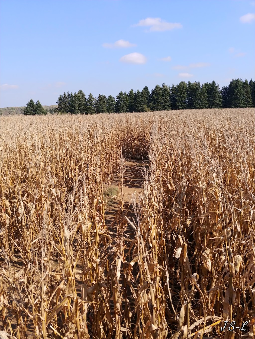 Hanes Corn Maze | 1001 #, ON-5, Dundas, ON L9H 5E2, Canada | Phone: (905) 628-5280