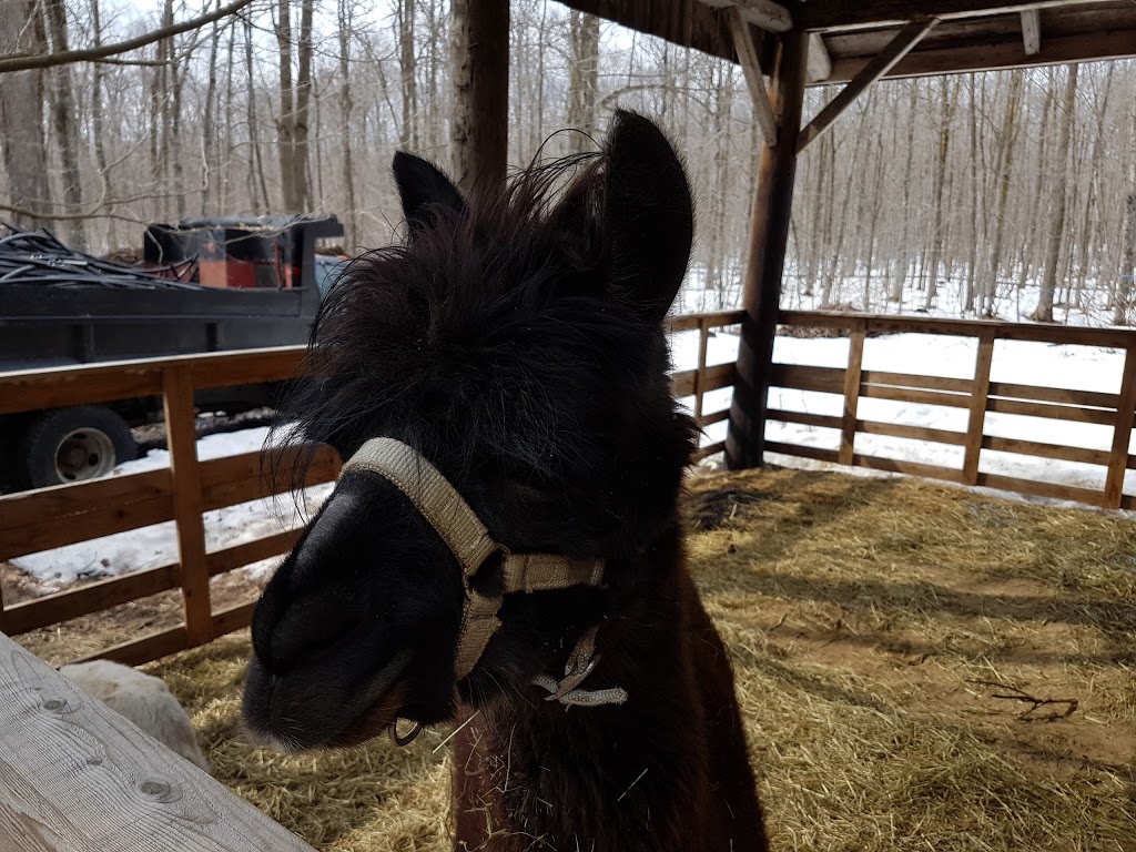 Lakabane | 248 Rang des Continuations, Saint-Esprit, QC J0K 2L0, Canada | Phone: (450) 839-6105