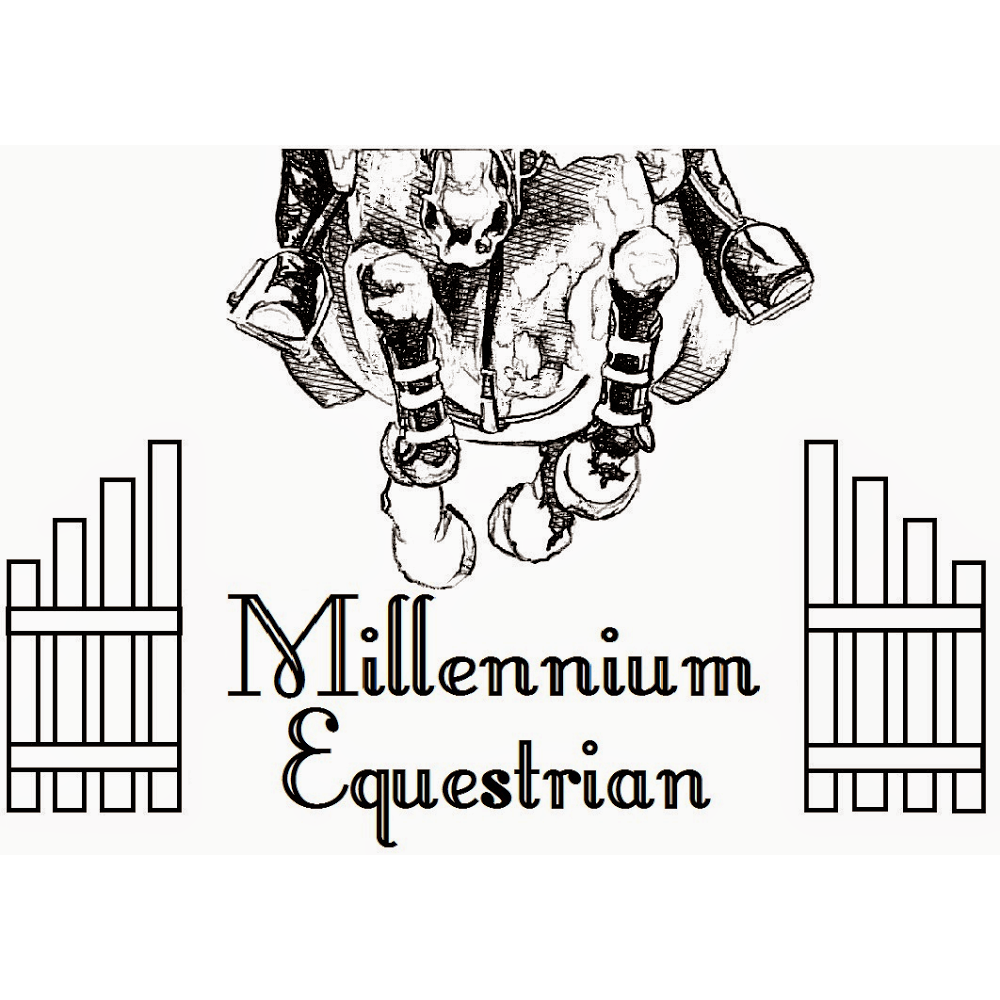 Millennium Equestrian & Rehabilitation Centre | 30363 Range Rd 12, Carstairs, AB T0M 0N0, Canada | Phone: (587) 777-5670