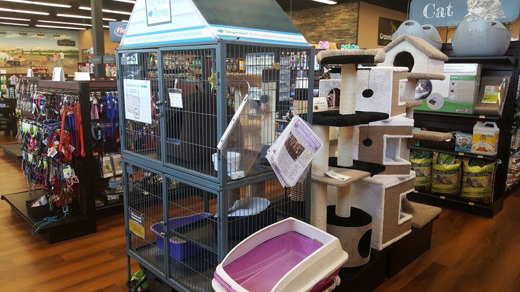 Pet Valu | 885 Plymouth Dr #3, Mississauga, ON L5V 0B5, Canada | Phone: (905) 821-4290