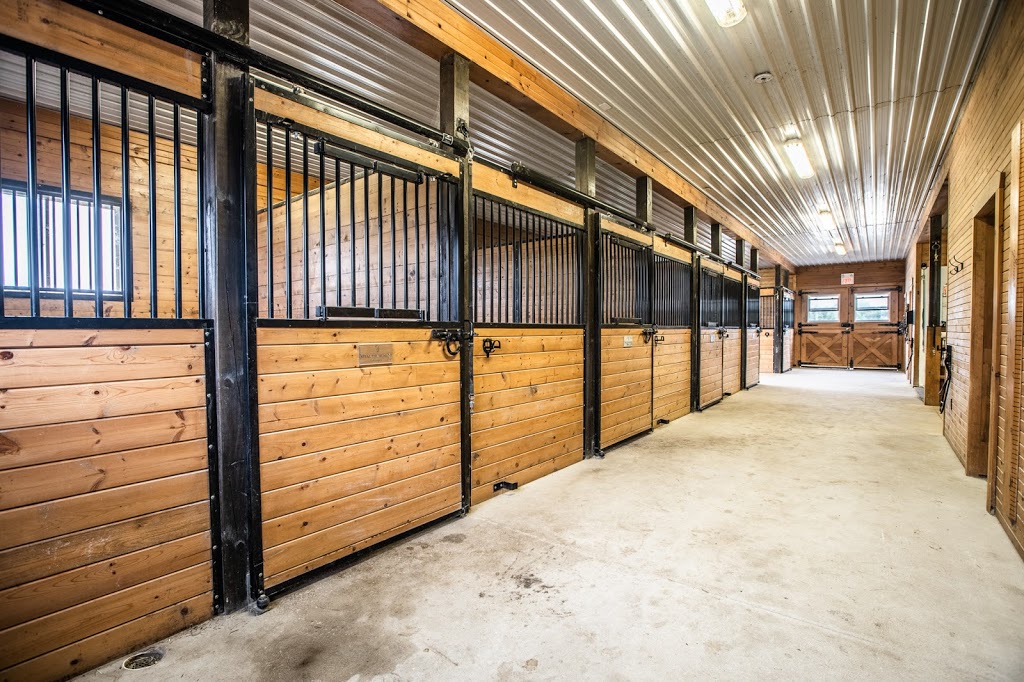 Dreamwinds Equine Assisted Learning Centre | 2800 Line 10, Bradford, ON L3Z 2A5, Canada | Phone: (289) 231-6775