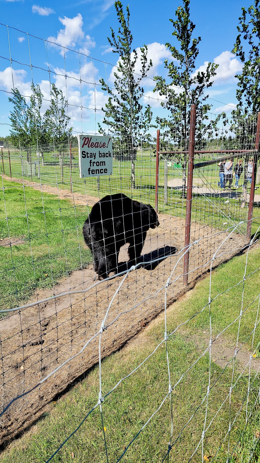 Discovery Wildlife Park & Campground | 5400 42 Ave, Innisfail, AB T4G 1P9, Canada | Phone: (403) 227-3211