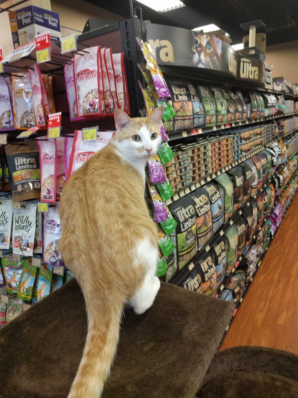 Pet Valu | 1134 Taylor Ave, Winnipeg, MB R3M 3Z4, Canada | Phone: (204) 475-4505