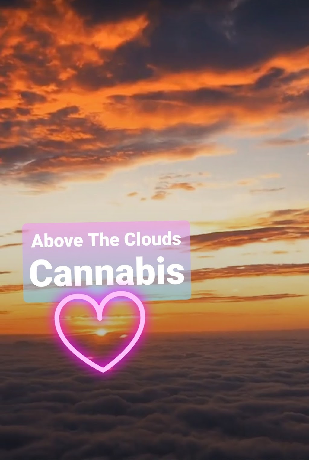 Above The Clouds Cannabis | 259 Scarlett Rd, Toronto, ON M6N 4K9, Canada | Phone: (647) 368-6636