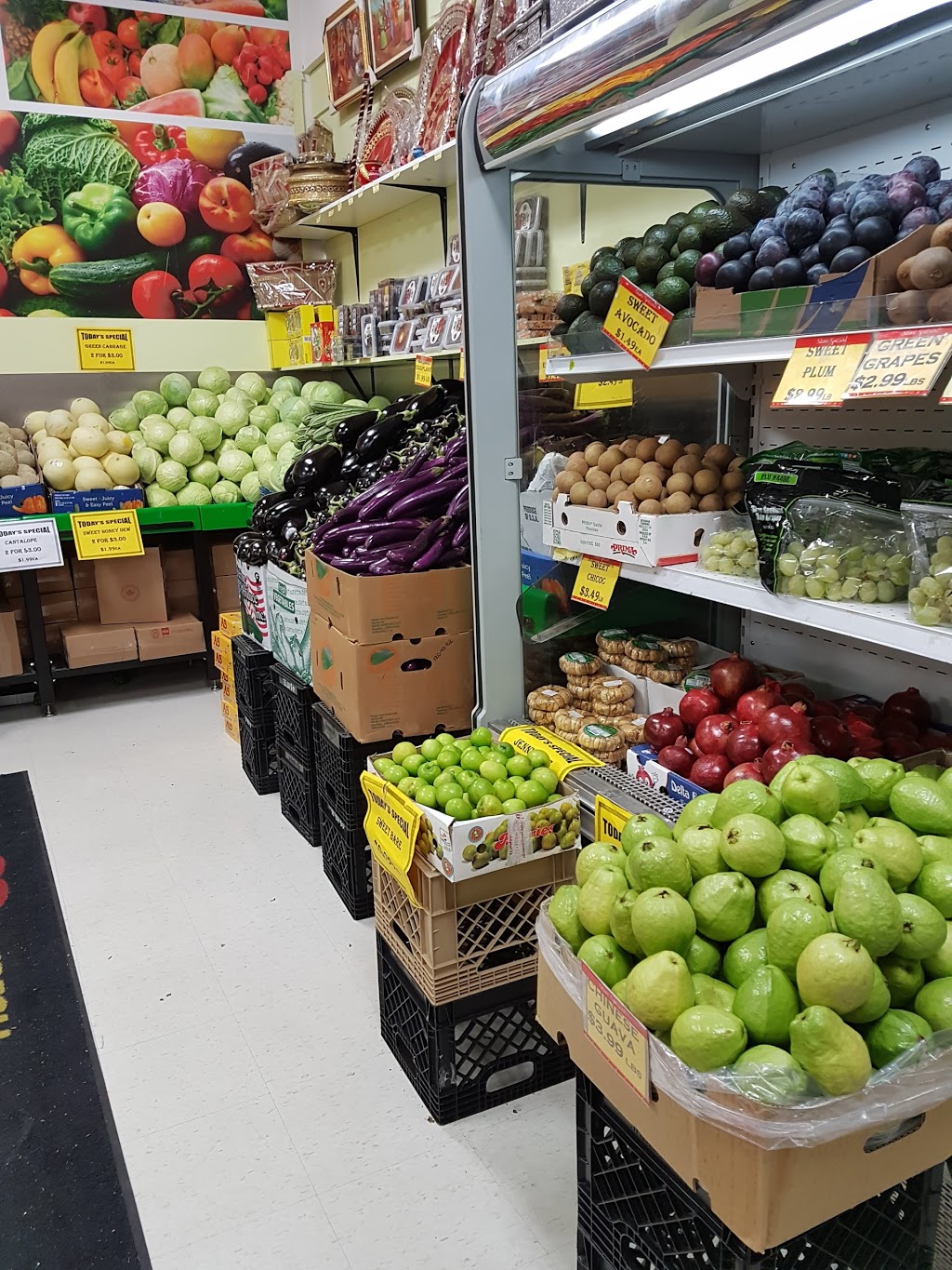 Indian Foodland | 15 Fandor Way #6A, Brampton, ON L7A 2G9, Canada | Phone: (905) 846-5800