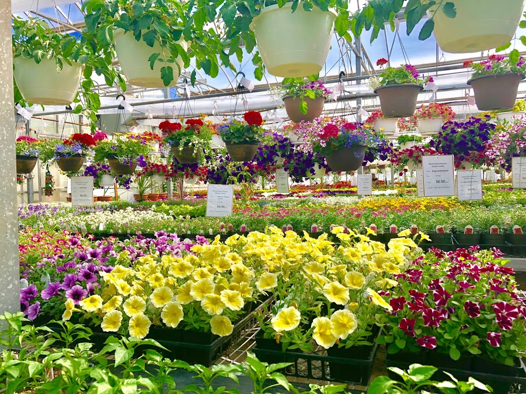 Bonnie Doon Flowers (Garden Centre) | 850 23 Ave NW, Edmonton, AB T6T 1J1, Canada | Phone: (780) 440-3053