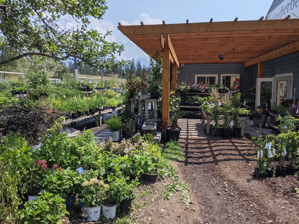 Winderberry and Edibles Farm+Cafe+Catering | 1681 BC-93, Windermere, BC V0B 2L2, Canada | Phone: (250) 342-3236