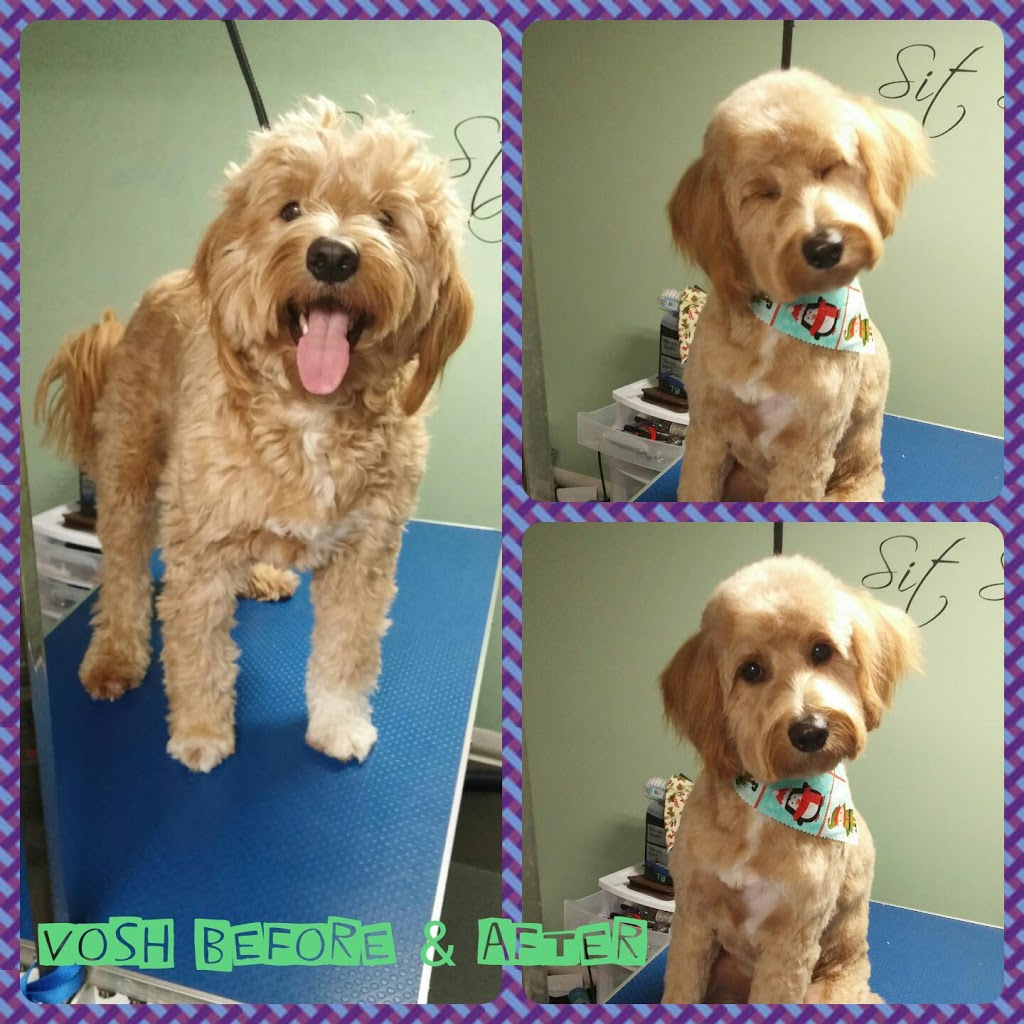 Sit, Stay, Style Dog Grooming | box 2025, Fort QuAppelle, SK S0G 1S0, Canada | Phone: (306) 745-8602