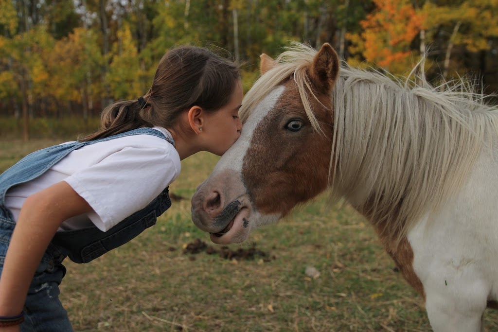 Rainbow Ranger Station | 59119 Monominto Rd, Anola, MB R5L 0C8, Canada | Phone: (204) 803-7277