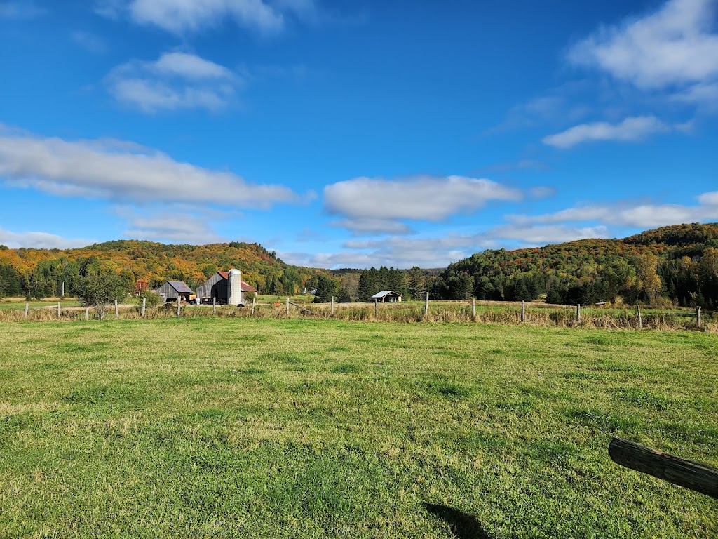 Gray Valley Farm | 148 Chem. de Gray Valley, Boileau, QC J0T 1G0, Canada | Phone: (819) 425-3031