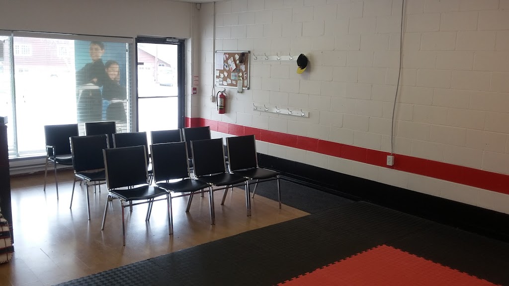 Keswick Karate | 131 The Queensway S #5, Keswick, ON L4P 1Z8, Canada | Phone: (647) 515-0179