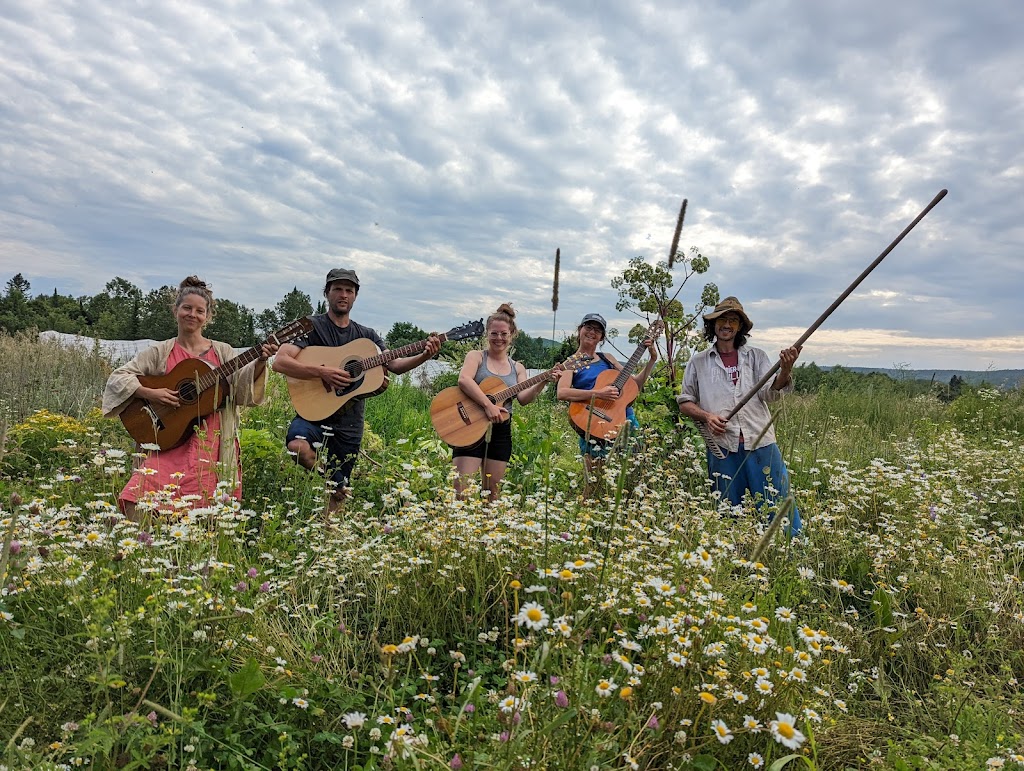 School Of Music Estelle Roy | 502 Rue Labelle, Mont-Tremblant, QC J8E 3H2, Canada | Phone: (819) 818-0147