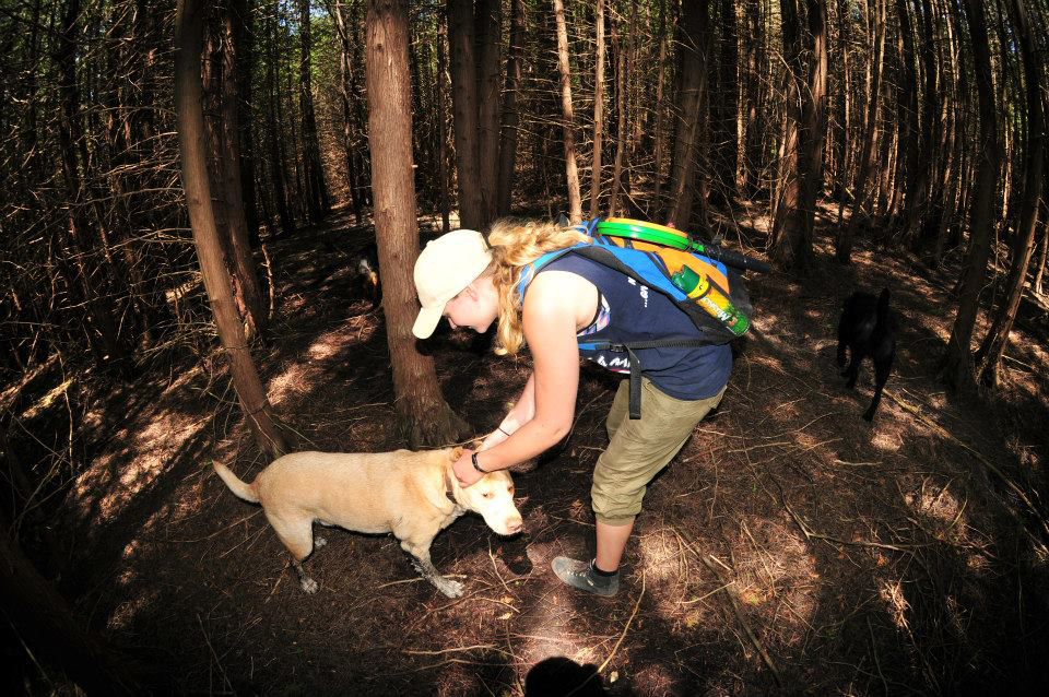 Dogs at Camp GTA - 100 Acres - Hiking & Swimming! | 20850 Marsh Hill Rd, Uxbridge, ON L9P 1R3, Canada | Phone: (905) 862-0273