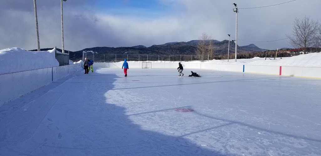 Patinoire municipale extérieure | 2387 Route du Fleuve, Les Éboulements, QC G0A 2M0, Canada | Phone: (418) 635-1026