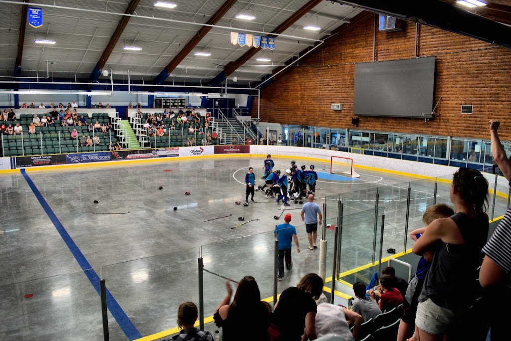 George Preston Recreation Centre | 20699 42 Ave, Langley, BC V3A 3B1, Canada | Phone: (604) 530-1323