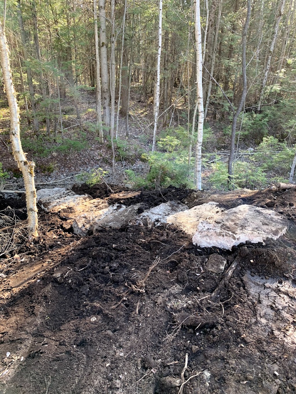 Debien Excavation | 983 Bd de la Salette, Saint-Jérôme, QC J5L 2J9, Canada | Phone: (450) 438-6108