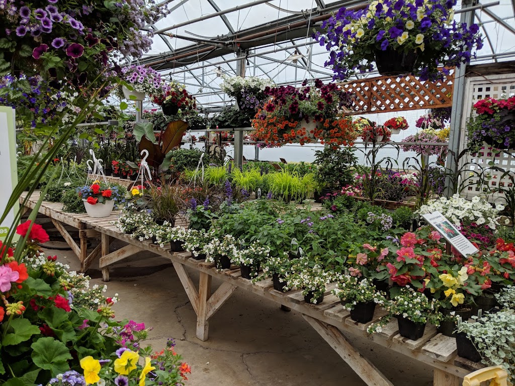 Golden Greenhouses | 51114 Range Rd 264 #23, Spruce Grove, AB T7Y 1E8, Canada | Phone: (780) 987-3675