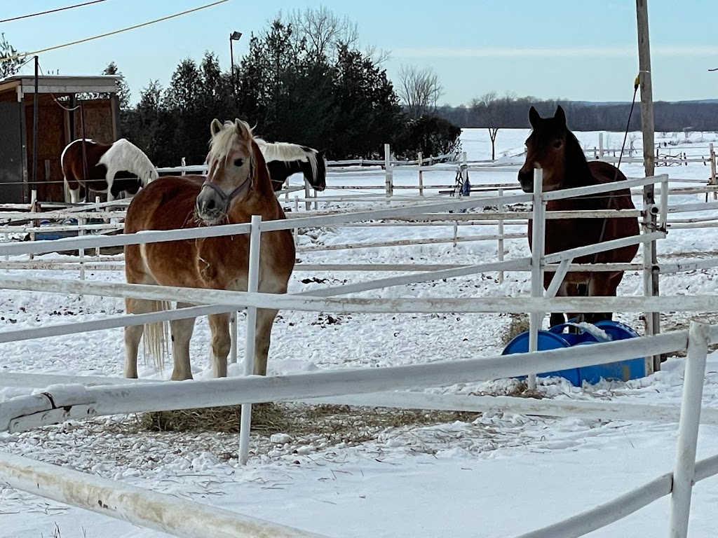 Equi-Sens centre équestre thérapeutique | 20661 Rue Victor, Mirabel, QC J7J 1P4, Canada | Phone: (450) 325-7367