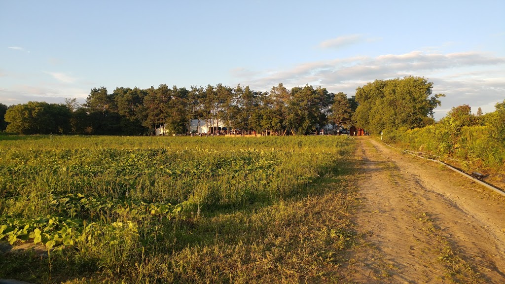 Rideau Pines Farm and Market | 5714 Fourth Line Rd, North Gower, ON K0A 2T0, Canada | Phone: (613) 489-3601