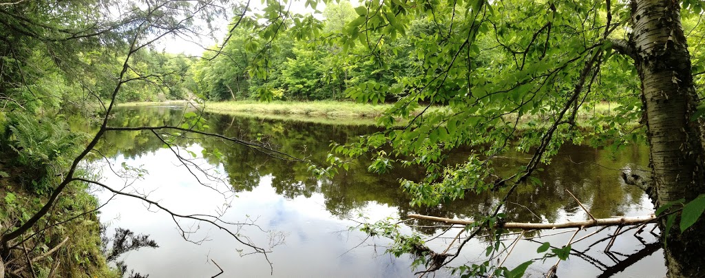 Sentier de la rivière du Chêne, secteur des Trois-Fourches | Saint-Édouard-de-Lotbinière, QC G0S 1Y0, Canada | Phone: (418) 926-3407