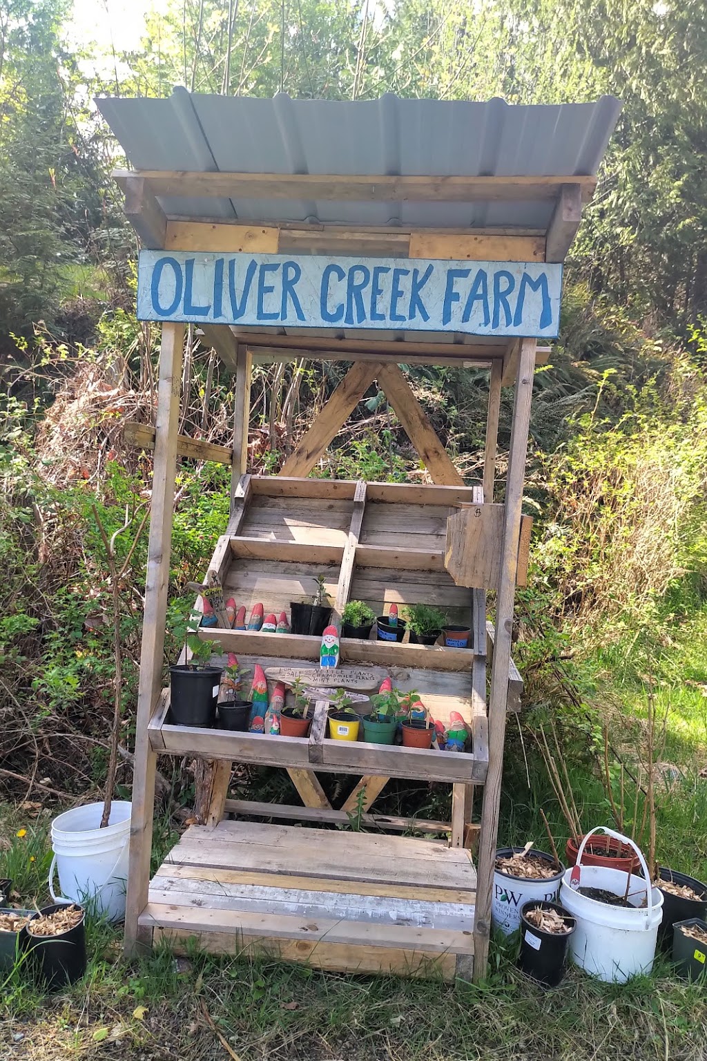 Oliver Creek Farm | 8260 Youbou Rd, Lake Cowichan, BC V0R 2G0, Canada | Phone: (250) 718-8485