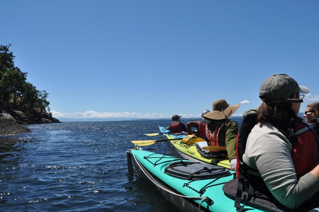 Sea Quest Kayak Tours | 2 Front St, Friday Harbor, WA 98250, USA | Phone: (360) 378-5767