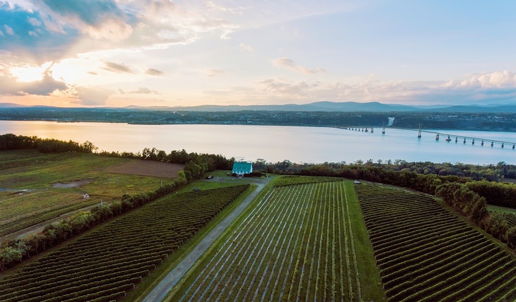 Vignoble Ste-Pétronille - Winery & Cidery | 8705 Chem. Royal, Sainte-Pétronille, QC G0A 4C0, Canada | Phone: (418) 828-9554