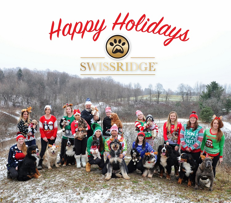 swissridge kennels | 16195 12th Concession, Schomberg, ON L0G 1T0, Canada | Phone: (289) 608-8164