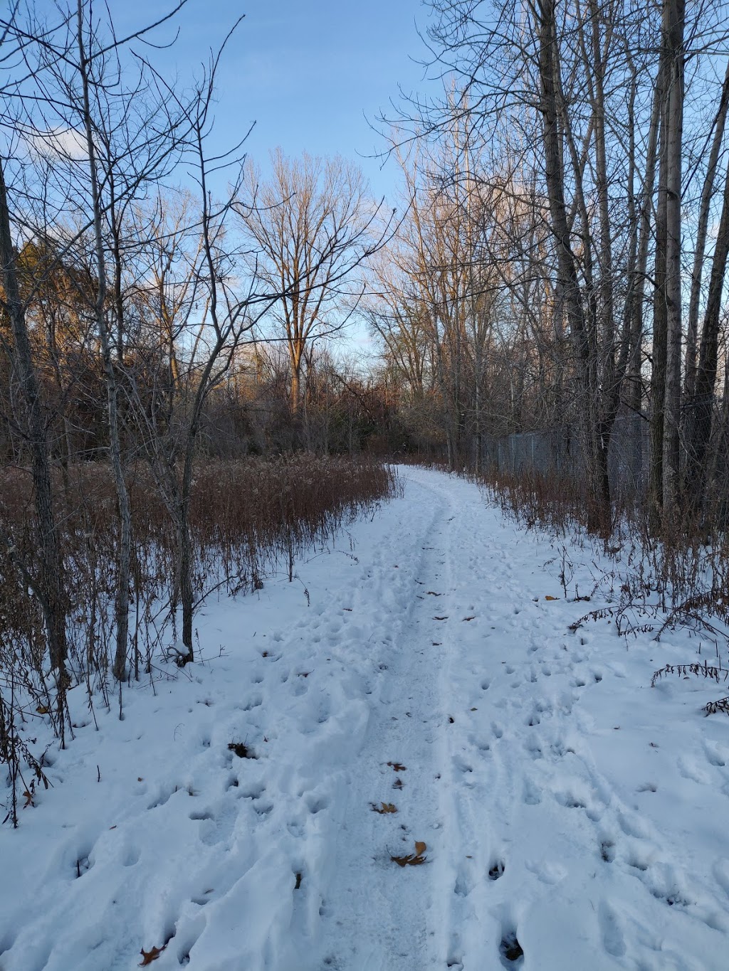 Black Oak Heritage Park | Ojibway Pkwy, Windsor, ON N9A 6S1, Canada | Phone: (519) 255-6267