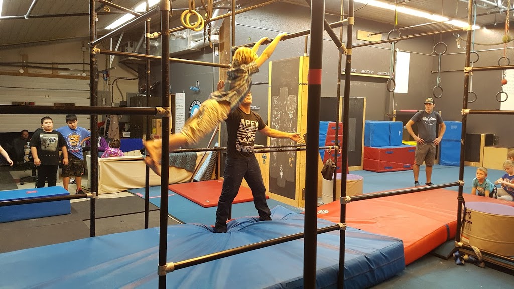 Circus In The Trees | 301 Jenkins Rd, Scotland, ON N0E 1R0, Canada | Phone: (519) 446-2201
