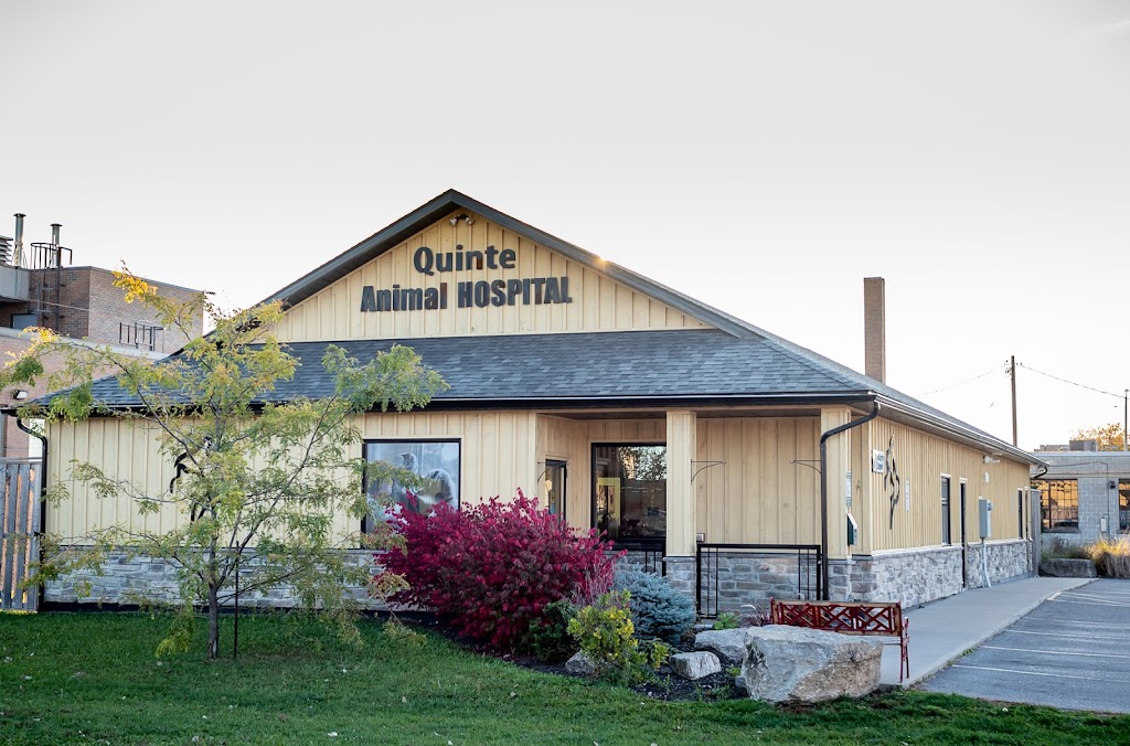 Quinte Animal Hospital | 71 Murphy St, Trenton, ON K8V 0C3, Canada | Phone: (613) 392-8900