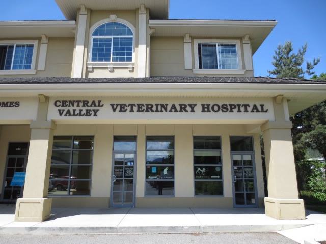 Central Valley Veterinary Hospital | 1940 Kane Rd #124, Kelowna, BC V1V 2J9, Canada | Phone: (250) 762-7181