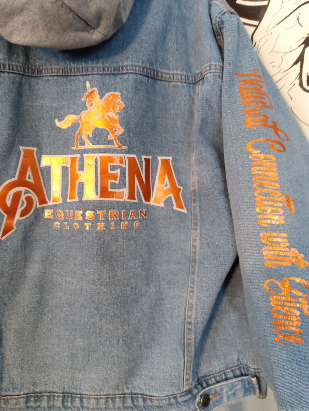 Athena equestrian | 53 Hallgren Ave, Red Deer, AB T4N 6P1, Canada | Phone: (780) 242-2235