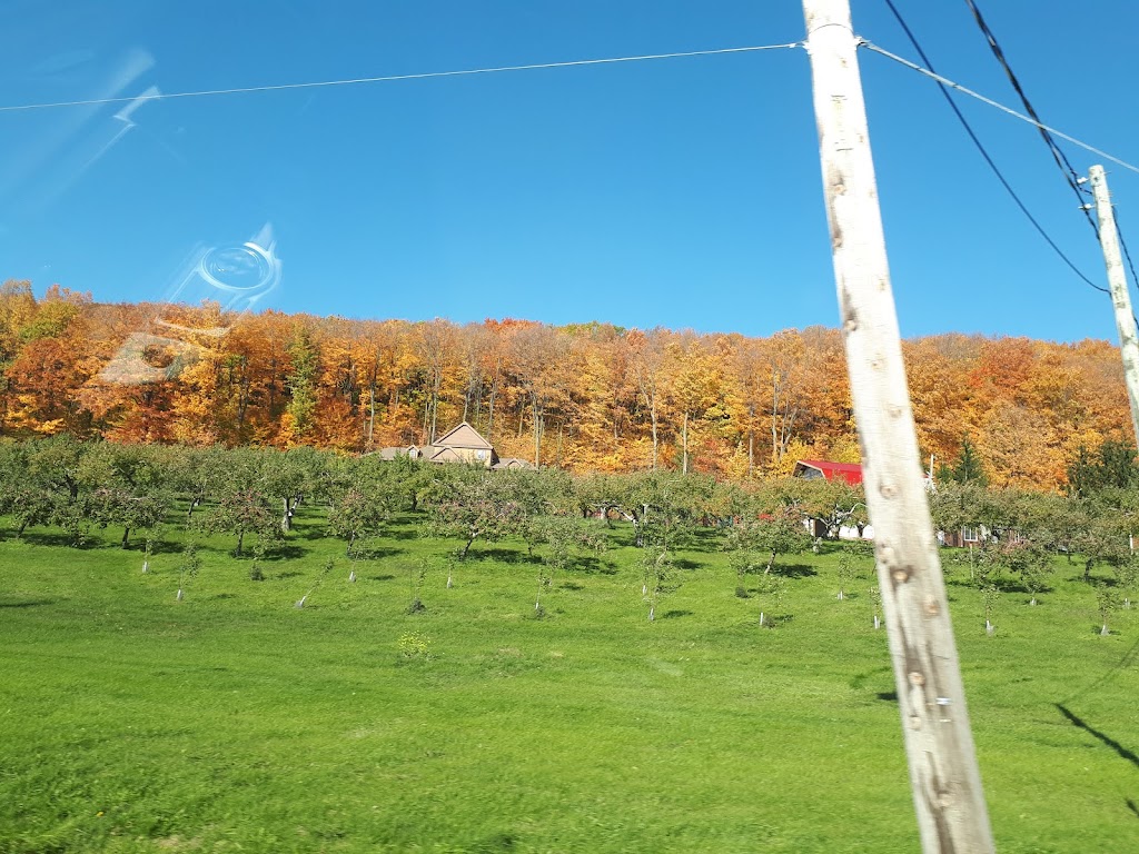 Le Verger Trottier - La Cidrerie des Générations | 4377 Chem. dOka, Saint-Joseph-du-Lac, QC J0N 1M0, Canada | Phone: (514) 830-8691