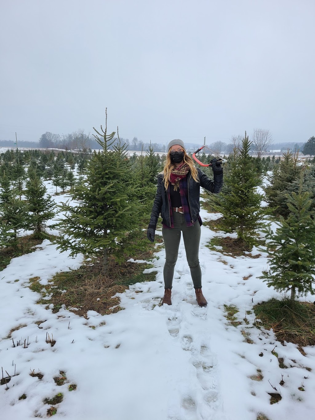 Vanderklooster Christmas Trees | 424847 Substation Rd, Burgessville, ON N0J 1C0, Canada | Phone: (519) 535-0215