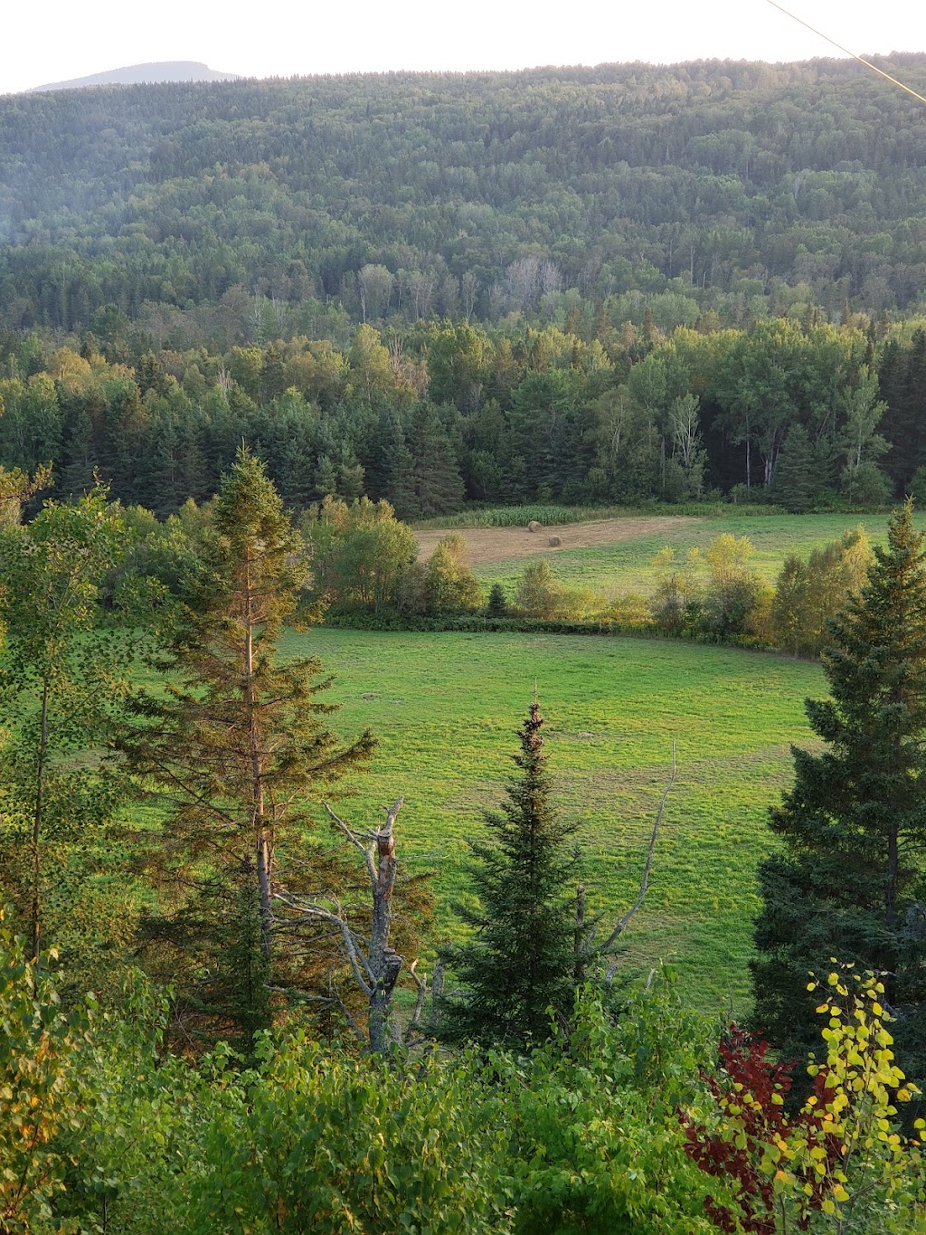 À PERTE DE VUE Baie-Saint-Paul | 439 Chem. du Cap aux Rets, Baie-Saint-Paul, QC G3Z 1C1, Canada | Phone: (450) 560-0757