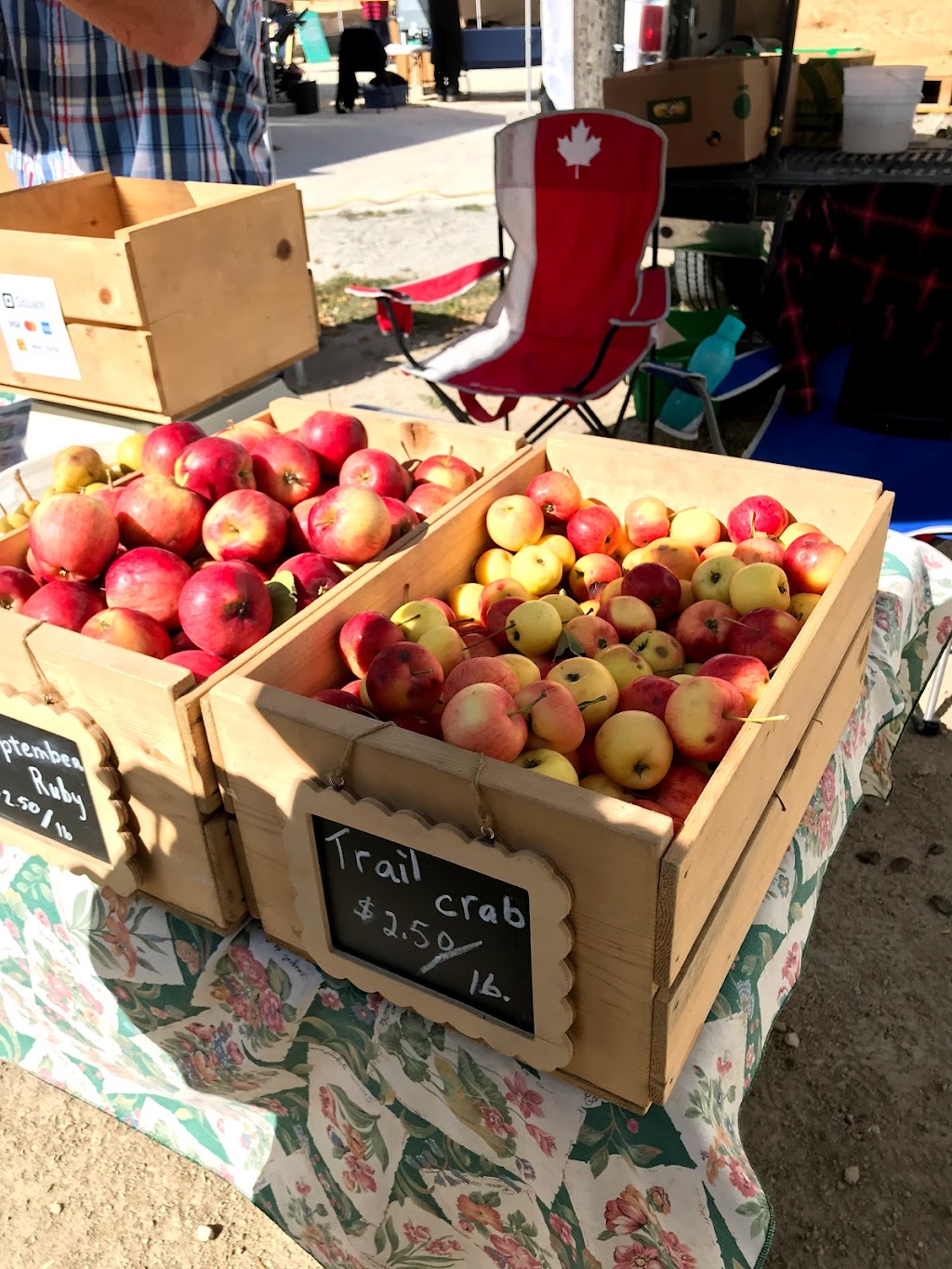 St Norbert Farmers Market | 3514 Pembina Hwy, Winnipeg, MB R3V 1A1, Canada | Phone: (204) 275-8349