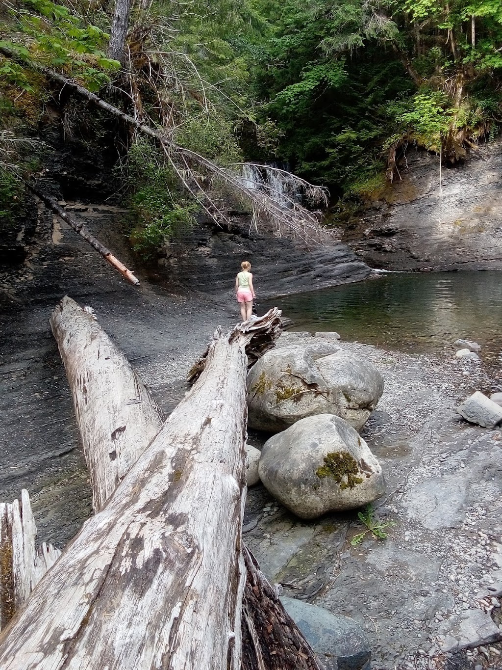 Timberlodge & RV Campground | 2404 Timberlane Rd, Port Alberni, BC V9Y 8P2, Canada | Phone: (250) 723-9415