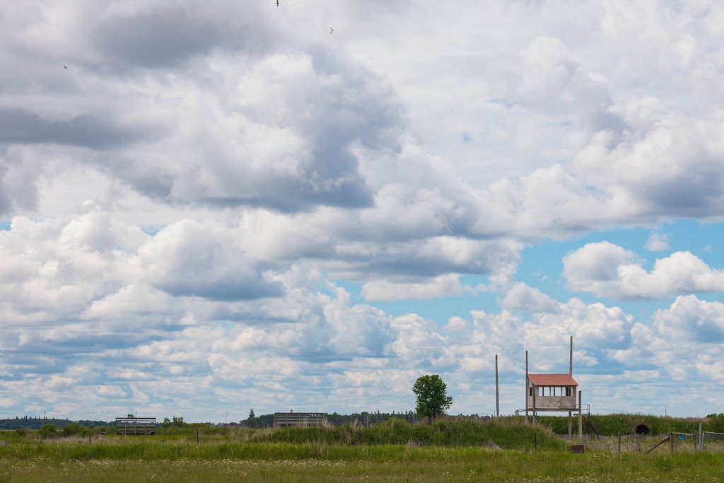 Interlake OffRoad Club Corp | Gimli Motor Sports Park, Gimli Motor Sport Park, MB R0C 1B0, Canada | Phone: (204) 792-7287