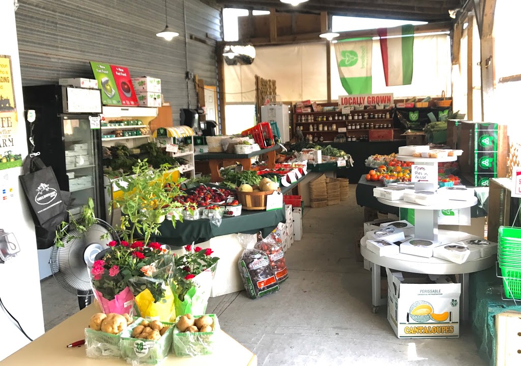 Canal Road Farmers Market-Holland Marsh Food Market | 1153 Canal Rd, Bradford, ON L3Z 2A6, Canada | Phone: (416) 577-1241