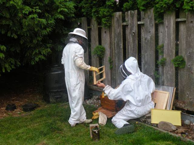 Urban Bee Supplies and Education | 5300 34b Ave, Delta, BC V4L 2P1, Canada | Phone: (604) 364-1993