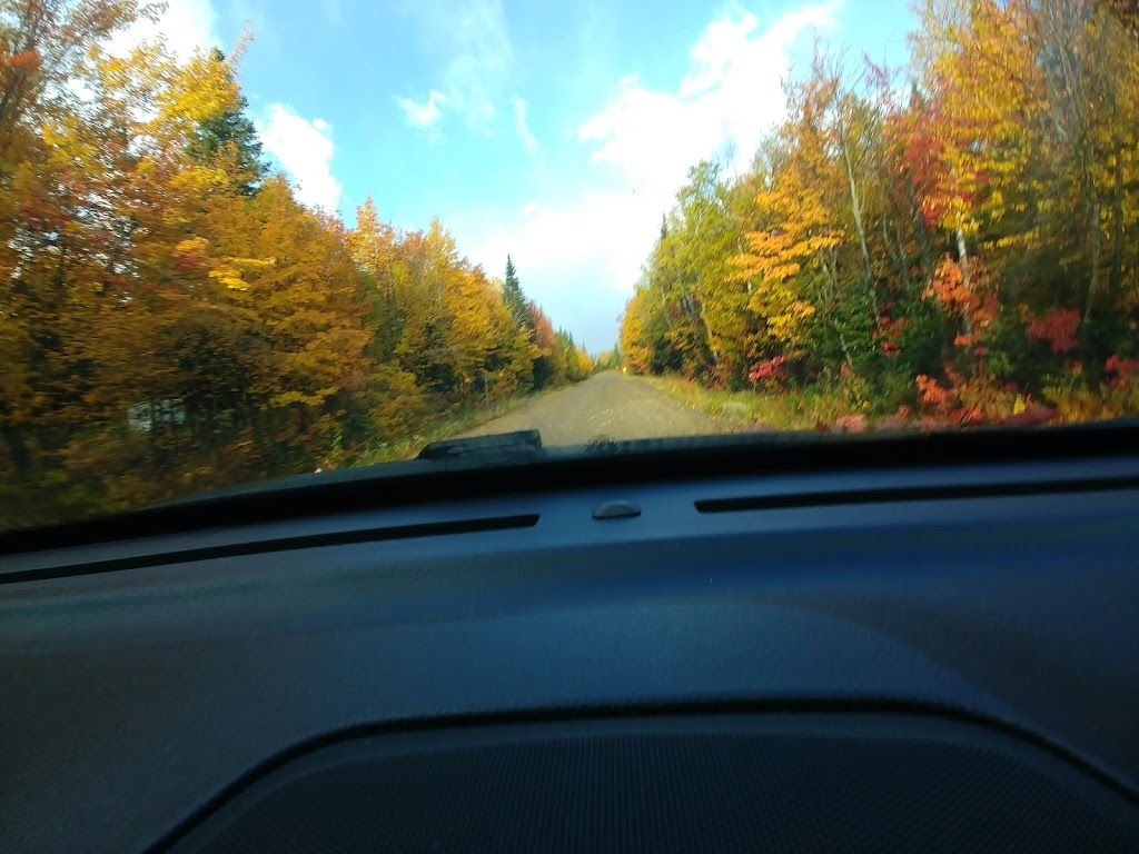 Chalet Au Grand Merisier | Petite-Rivière-Saint-François, QC G0A 2L0, Canada