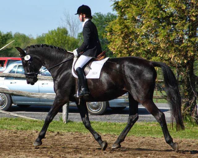 Centaur Riding School | 3845 Frank Kenny Rd, Navan, ON K4B 1H9, Canada | Phone: (613) 835-2237