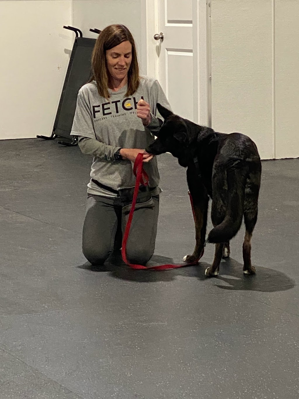 Fetch Canine Daycare, Training and Wellness Centre | 193B Henlow Bay, Winnipeg, MB R3Y 1G4, Canada | Phone: (204) 515-4093