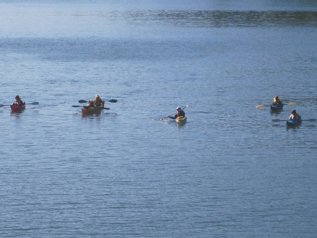 Kayaking Skills Saturna Island | 100 E Point Rd, Saturna, BC V0N 2Y0, Canada | Phone: (604) 725-8897