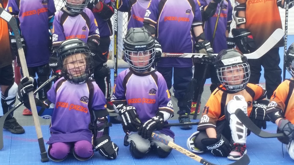 Ball Hockey International | 570 River Rd, Welland, ON L3B 5N6, Canada | Phone: (905) 735-4145