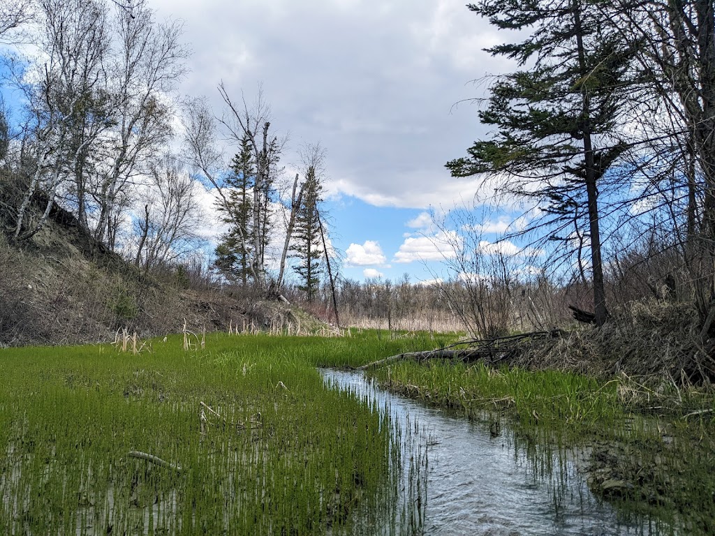 Steels Ferry Overlook and Spring Ridge Self-guiding Trail | South Cypress, MB R0K 0P0, Canada | Phone: (204) 827-8850