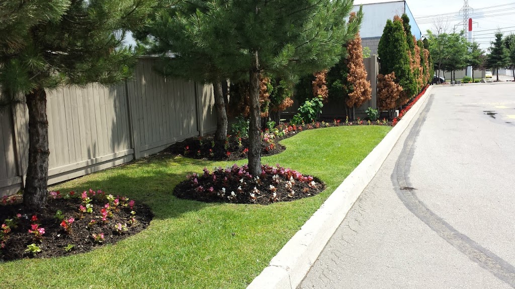 Clearview Landscaping | 104 Gilbert Ave, Toronto, ON M6E 4W1, Canada | Phone: (416) 418-4781