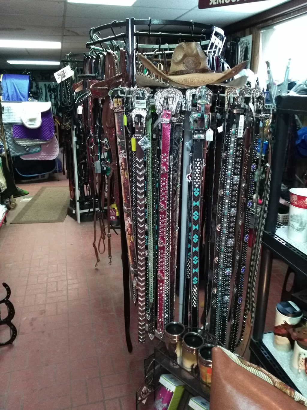 Sellerie Le Cheval Tack Shop | 344 Chemin de la Cité des Jeunes, Saint-Clet, QC J0P 1S0, Canada | Phone: (450) 456-3699