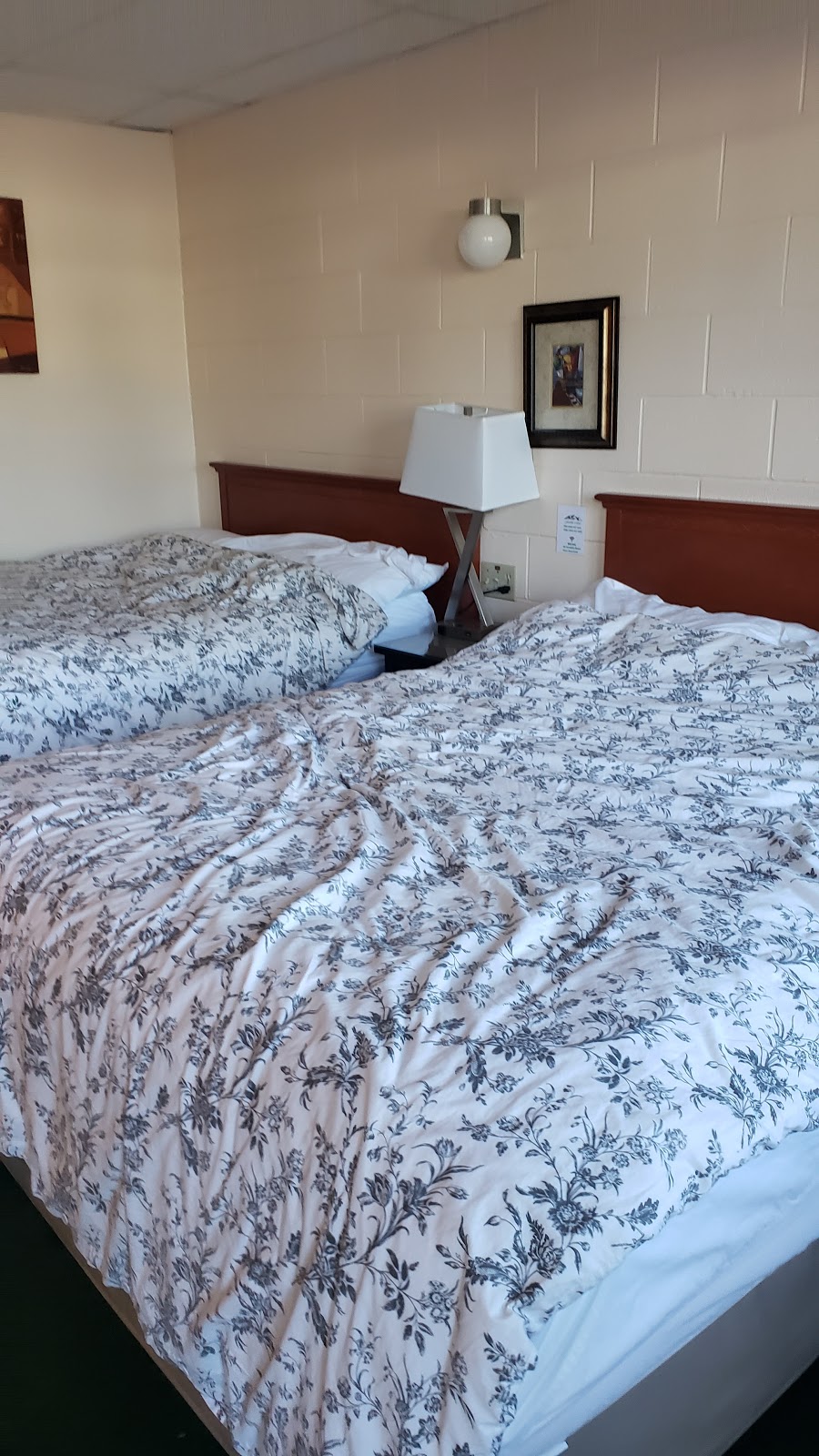 Foothills Motel | 1049 Waterton Ave, Pincher Creek, AB T0K 1W0, Canada | Phone: (403) 627-3341